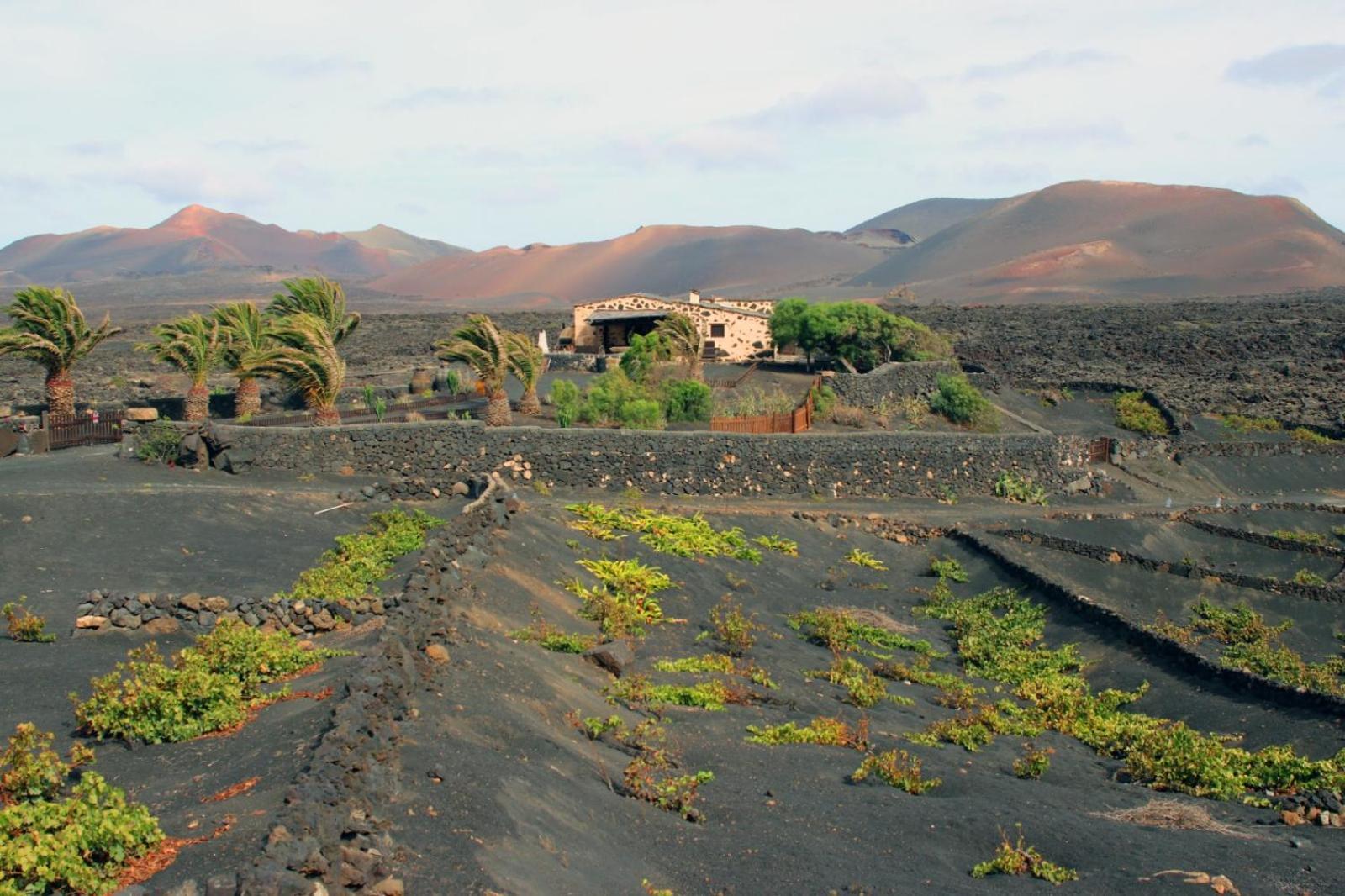 Casa Rural Vega De Timanfaya Uga Kültér fotó