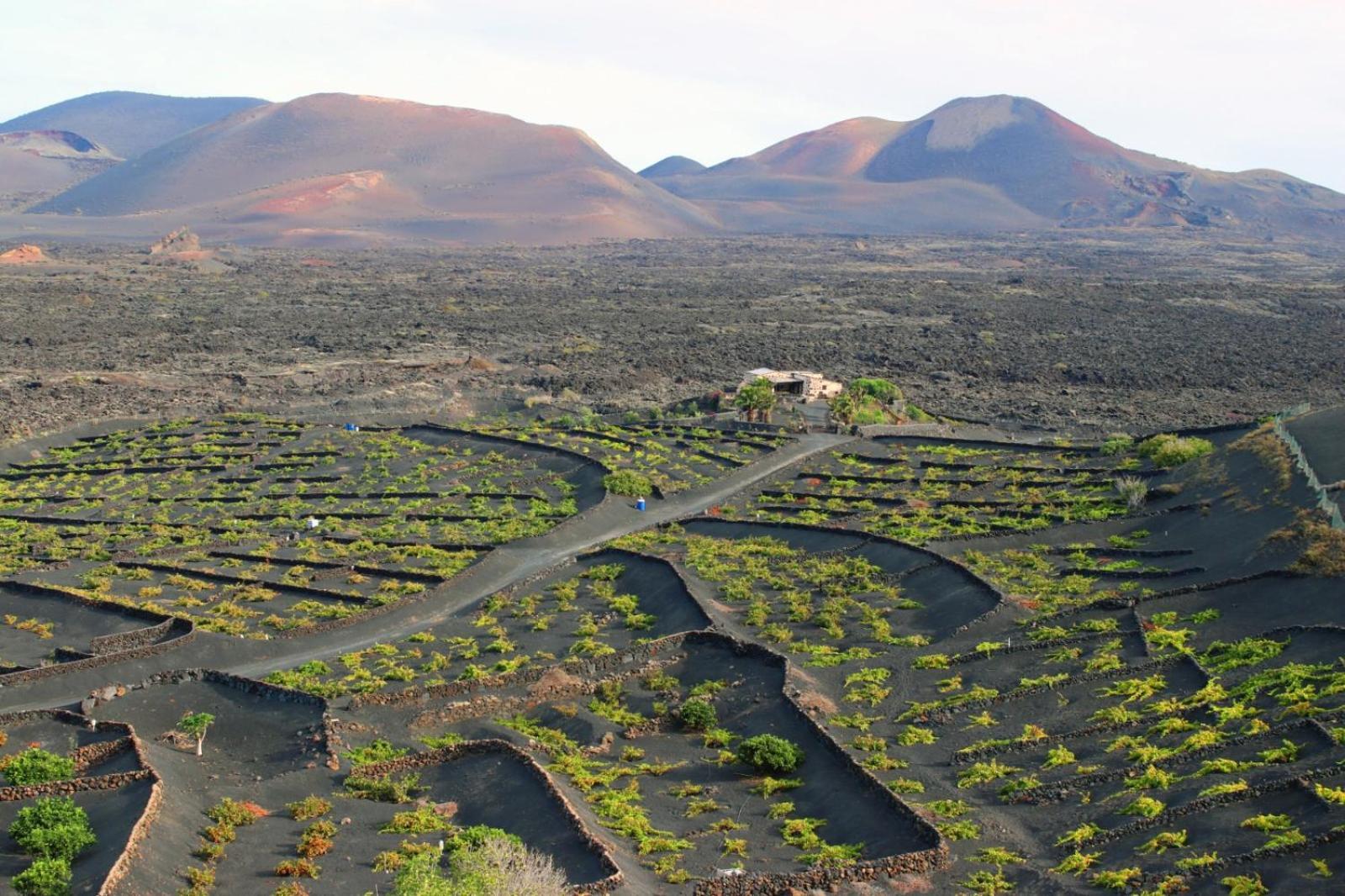 Casa Rural Vega De Timanfaya Uga Kültér fotó
